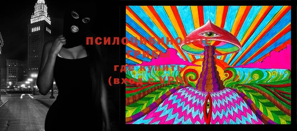 первитин Лабытнанги