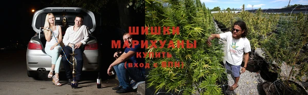 первитин Лабытнанги